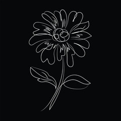 vector flower background