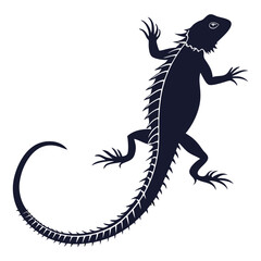 silhouette spiny tailed lizard on white background