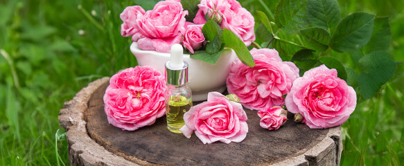 Rose essential oil in a bottle.essential oils.