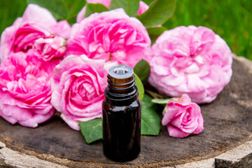 Rose essential oil in a bottle.essential oils.
