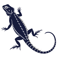 silhouette spiny tailed lizard on white background