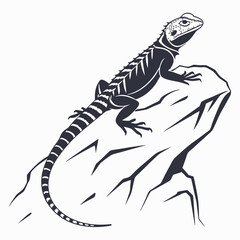 silhouette spiny tailed lizard on white background