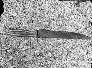 A heavily rusted knife with a dark, worn handle lies on a rough surface of wood shavings. The...