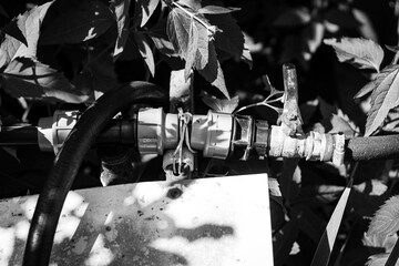 Black and white image of a garden hose connection with a shut-off valve, weathered and surrounded...