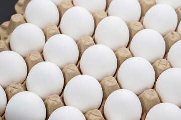 white chicken eggs in the cardboard egg tray with rooms for thirty eggs isolated on white background