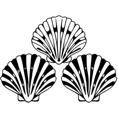 Black and White Seashells Vector Graphic Illustration