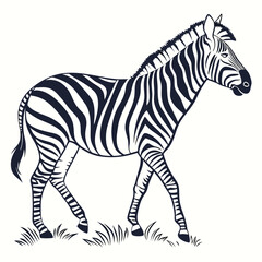 silhouette zebra on white background