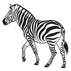 silhouette zebra on white background