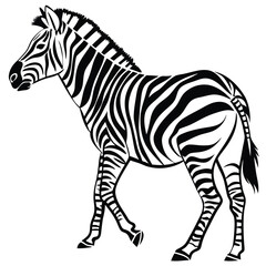 silhouette zebra on white background