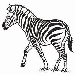 silhouette zebra on white background