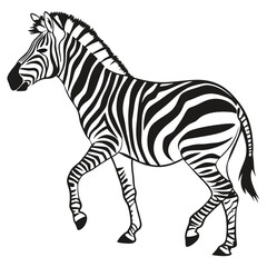 silhouette zebra on white background