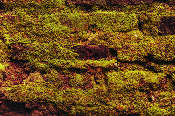 photo about old wall, abstract background, natural pattern texture for photo background, wallpaper, abstract design