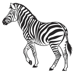 silhouette zebra on white background