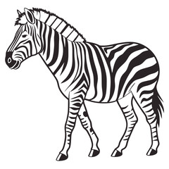 silhouette zebra on white background