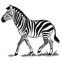 silhouette zebra on white background