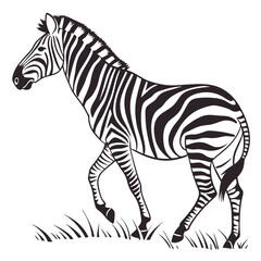 silhouette zebra on white background