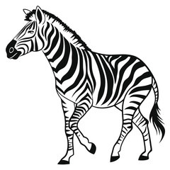 silhouette zebra on white background