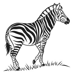 silhouette zebra on white background
