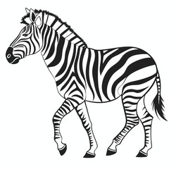 silhouette zebra on white background