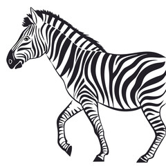 silhouette zebra on white background