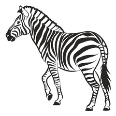 silhouette zebra on white background