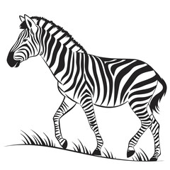 Fototapeta premium silhouette zebra on white background