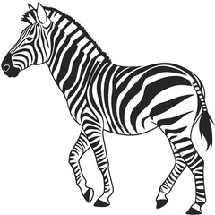 silhouette zebra on white background