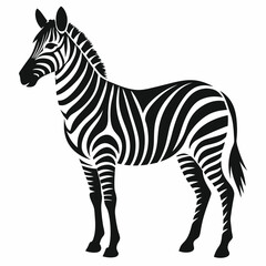 silhouette zebra on white background