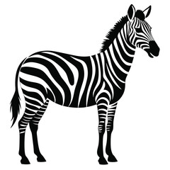silhouette zebra on white background