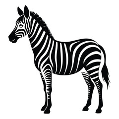 silhouette zebra on white background