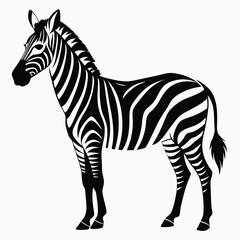 silhouette zebra on white background
