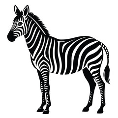 Fototapeta premium silhouette zebra on white background