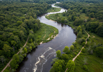 Aerial View of a Serpentine River Winding Through Lush Green Forest