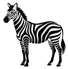 Fototapeta premium silhouette zebra on white background