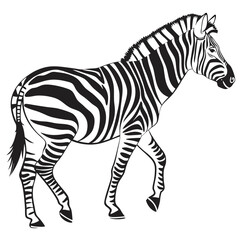 silhouette zebra on white background