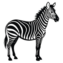 silhouette zebra on white background