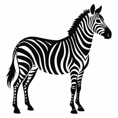silhouette zebra on white background