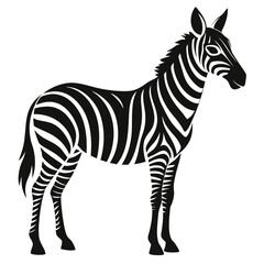 silhouette zebra on white background