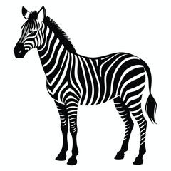 silhouette zebra on white background