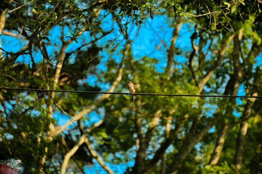 DSC00313.ARW 