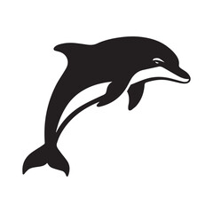 dolphin vector illustration