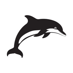 dolphin isolated on white