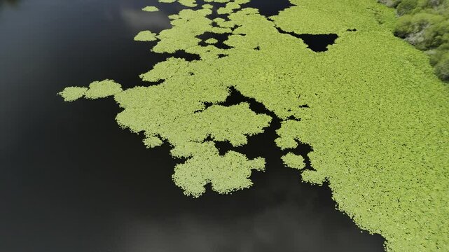 Vista a&eacute;rea de una laguna serena rodeada de naturaleza 