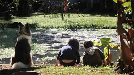 Duas crianças brincam às margens de um lago acompanhadas por seu cão.