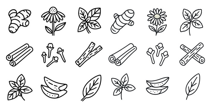 Collection of herbs and spices are shown in a black and white drawing. The herbs include parsley, basil, and mint, while the spices include cinnamon, nutmeg, and ginger