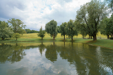 Peaceful landscape with trees and calm water reflecting clouds on a serene day in a park