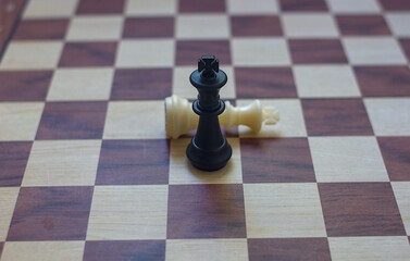 Final Checkmate: Black King Defeats White King on Chessboard