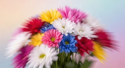 Colorful bouquet of daisy flowers with soft focus effect