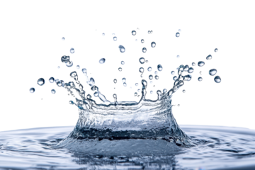 Water droplets burst in midair creating a stunning display of splashes and reflections captured in a lush, vibrant environment during bright daylight hours