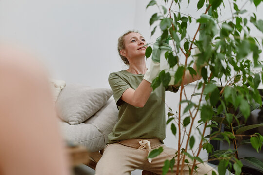 Middle age woman caring for indoor plants, practicing healthy and active lifestyle with focus on wellbeing and wellness in a bright home environment.